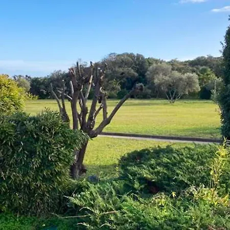 A Avec Piscine Partagee - 30 M²